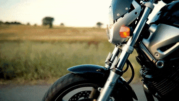 Crime Fiction GIF