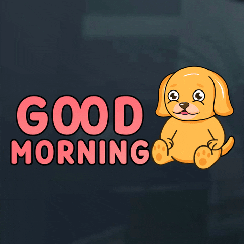 Good Morning Hello GIF by MyMorningDog