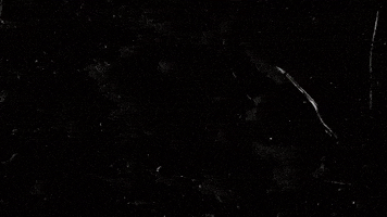 GIF by Rose Stallard