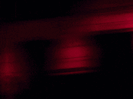 GIF by 2facedlon
