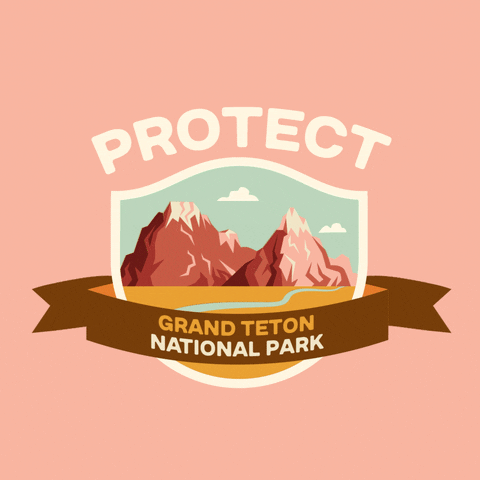 Digital art gif. Inside a shield insignia is a cartoon image of red and pink snow-capped mountains behind a snaking blue river. Text above the shield reads, "protect." Text inside a ribbon overlaid over the shield reads, "Grand Teton National Park," all against a pale pink backdrop.
