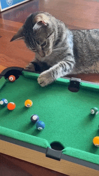 Game-room GIFs - Find & Share on GIPHY