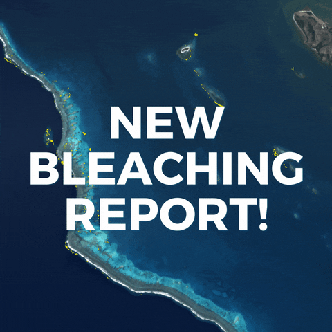 Allen Coral Atlas GIF