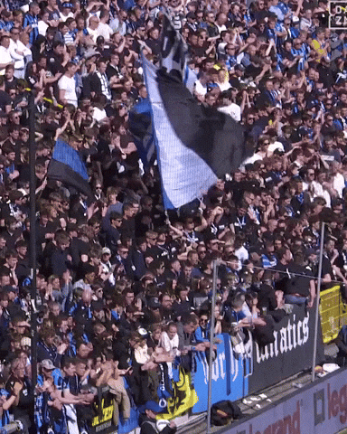 Nf13 GIF by Club Brugge