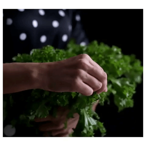 Eisbergromania Iubescsalatele GIF