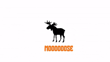 bigmoosecharity moose bigmoose bigmoosecharity GIF