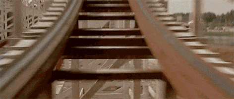 National Roller Coaster Day GIF