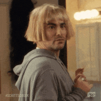pop tv no GIF by Schitt's Creek