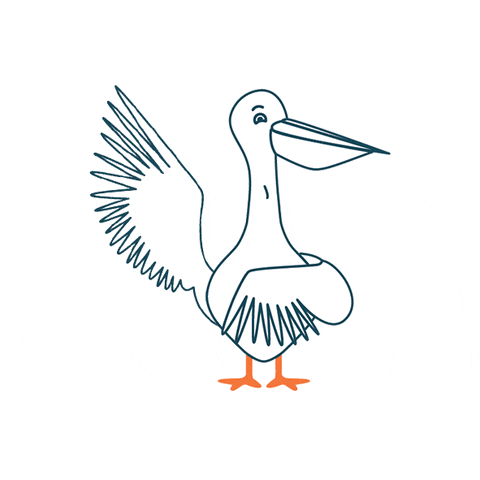 Marius-Peligourmet pelican marius peligourmet mariuslepelican GIF