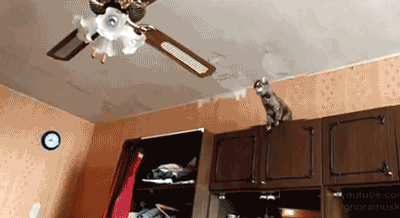 Falling Ceiling Gifs Get The Best Gif On Giphy
