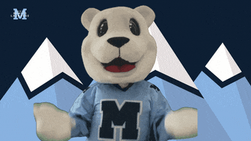 Stand Up Bear GIF by Mimico Lacrosse