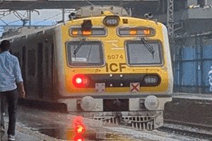 Train Emu GIF