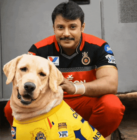 Royal Challengers Darshan GIF