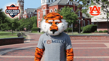 Excited College Football GIF by College Colors Day