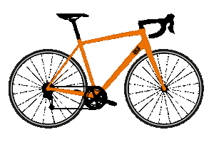 Bike Cycling Sticker by SKS GERMANY