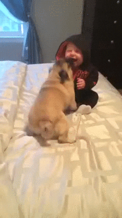 baby attack GIF