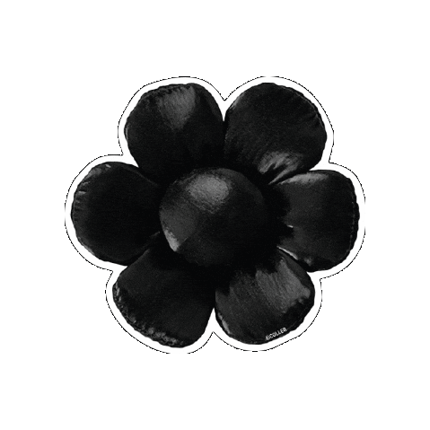 Coller Sticker by LINE FRIENDS