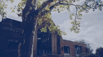 200.gif?cid=fc005b08547b5a23d8c9434dc2ce1d8632166bb22e6ec2c6&rid=200.gif&ct=g