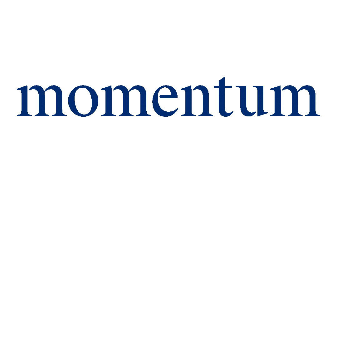 Momentum Realty Sticker