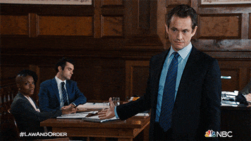 Episode 5 Shrug GIF by Law & Order
