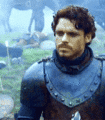 robb stark