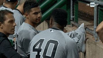 New York Yankees Wow GIF by YES Network