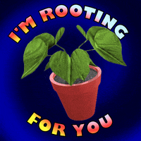Rooting I Believe In You GIF