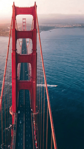 GIF by Phillip Jeffries