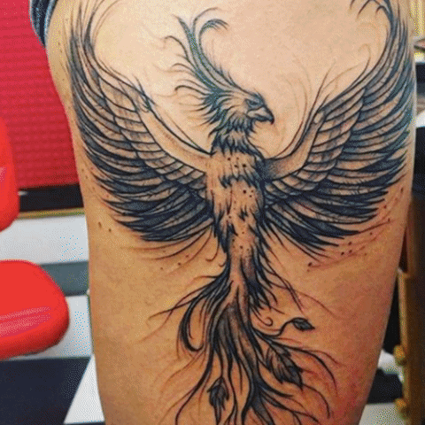 Tattoo Phoenix GIF