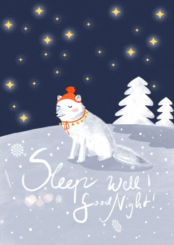 Good Night Winter GIF