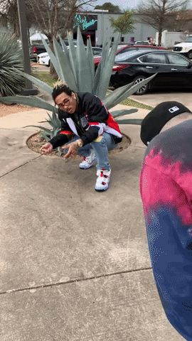 GIF by Dream But Don't Sleep