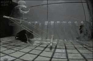 mhmd  GIF
