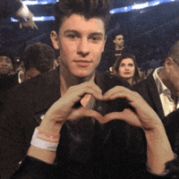 Shawn Mendes Flirting GIF by Billboard Music Awards