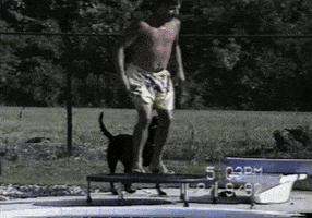 home video GIF by America's Funniest Home Videos