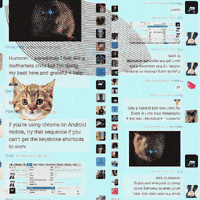 cat chatroom GIF by Njorg