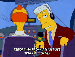 Season 3 Traffic GIF by The Simpsons