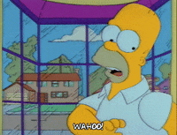 picture Broke Empty Wallet Gif wallet gifs get the best gif on giphy