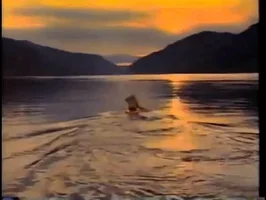kayak kayaking GIF
