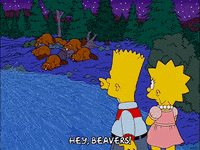 [Image: 200w.gif?cid=6c09b9529qg1cmf4b56p7l43ys8...w.gif&ct=g]