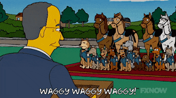 200.gif?cid=fc005b08d879622dbd032df48639d2c62848984b9f26419c&rid=200.gif&ct=g