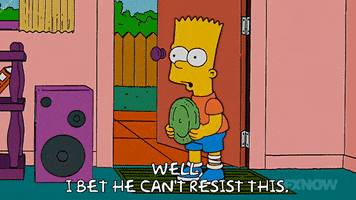 200.gif?cid=fc005b08eb51950725ff749beae3956c580c52a6ce890c34&rid=200.gif&ct=g