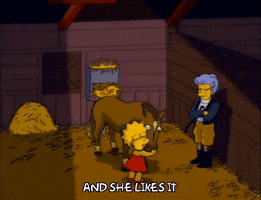 Season 3 Horse GIF by The Simpsons