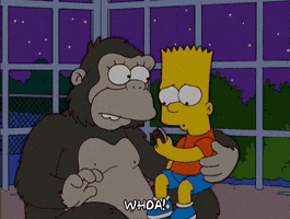 200.gif?cid=fc005b08cdcb42e8751317ddff9b2b6e01c450f546f56b05&rid=200.gif&ct=g