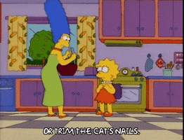 200.gif?cid=fc005b08d08f0a9eede650f063dd39ceeea6c964e4efb5e9&rid=200.gif&ct=g