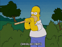 homer simpson GIF