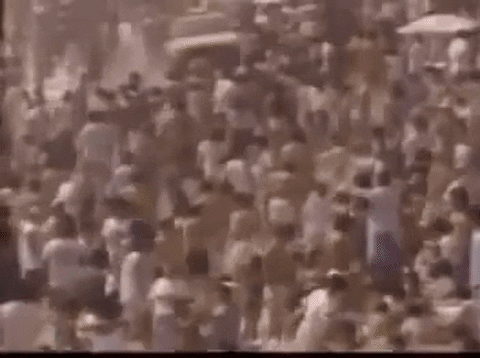 Kat Timpf GIF by Barstool Sports - Find & Share on GIPHY