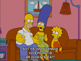 homer simpson couch GIF