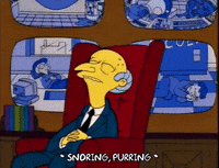 Ahoy Hoy Mr Burns Gif