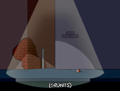 giphy.gif?cid=790b7611041cbd544c64049726