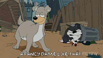 200.gif?cid=fc005b081e1392bb07213bccf6ffc53eb84d20eaa296e91e&rid=200.gif&ct=g